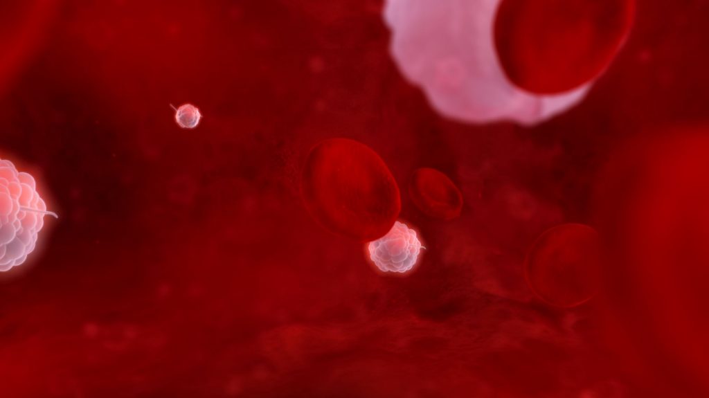veine vue intérieur globule rouge nanoparticule.