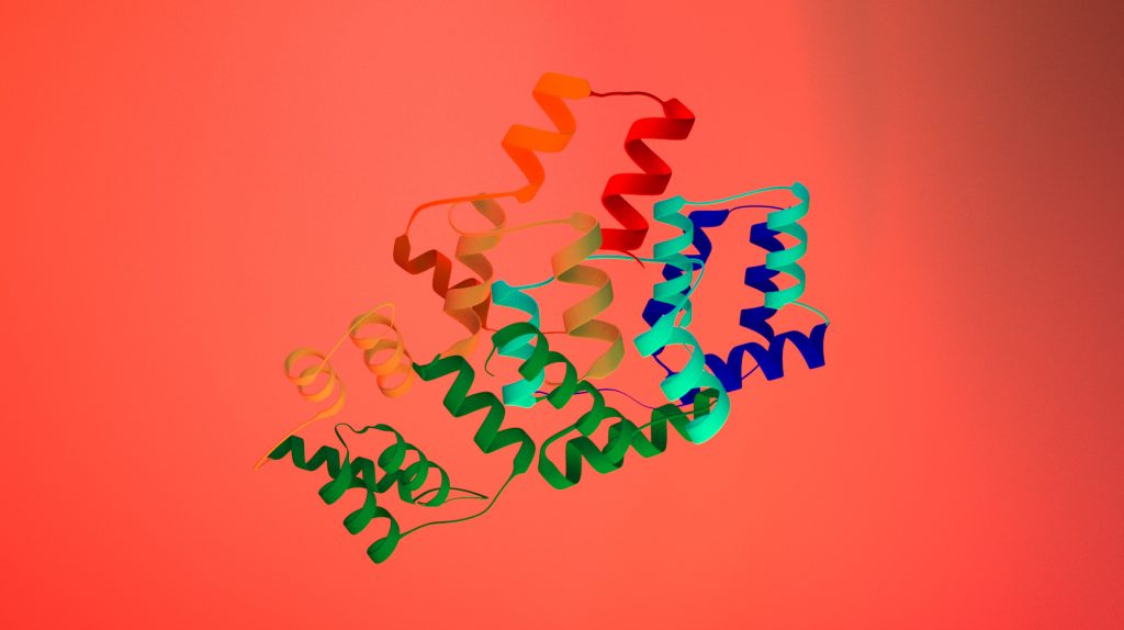 Protéine Annexine A1