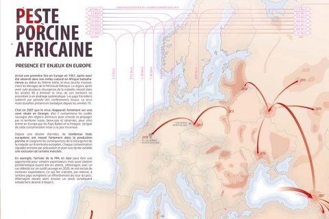 infographie-ppa-peste-porcine-africaine-europe-02